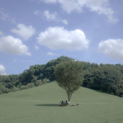 威斯尼斯wns888入截图